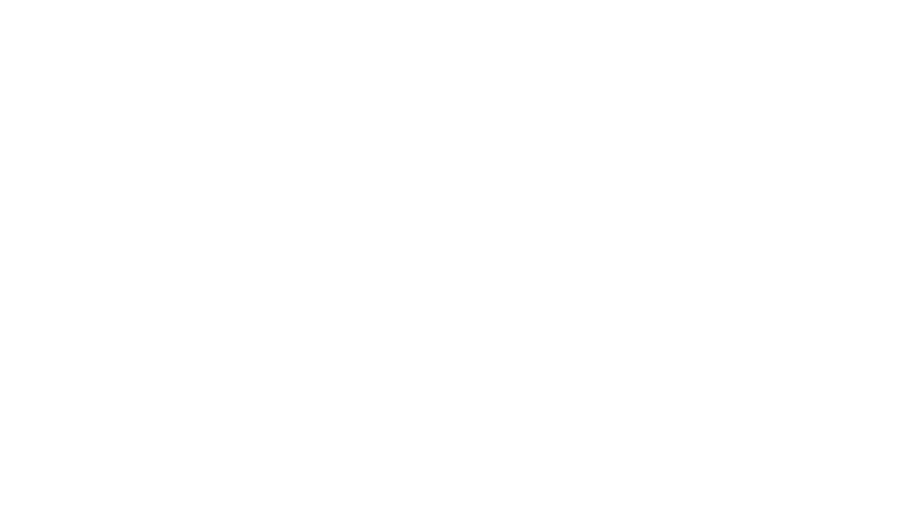 wyndham logo copy